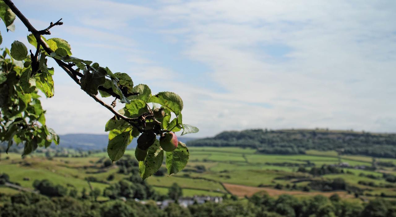 Отель Mason'S Arms Bowland Bridge Экстерьер фото